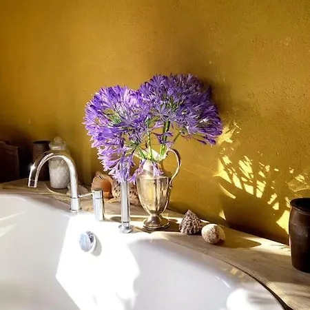 Du Petit Manoir Au Chateau D'hemevez