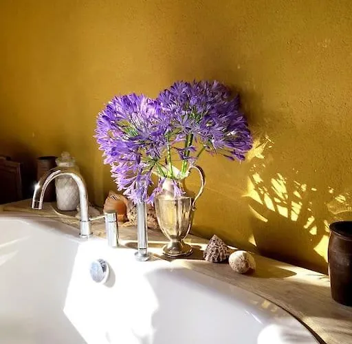 Du Petit Manoir Au Chateau D'hemevez