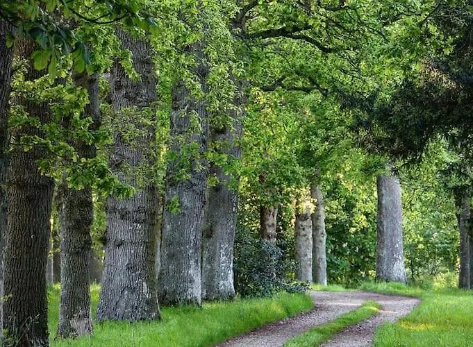 Du Petit Manoir Au Chateau D'hemevez Feriehus *